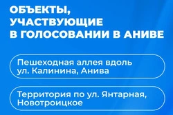 Считанные дни остались до выбора объектов благоустройства