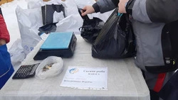 На юге Сахалина стартовала продажа свежей наваги по сниженным ценам