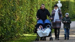 Владимир Путин запретил изымать у многодетных семей земельные участки за долги