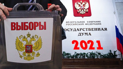 ЦИК назвал окончательное число кандидатов на выборах в Госдуму