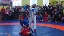 В Аниве вновь соревновались юные самбисты южного Сахалина