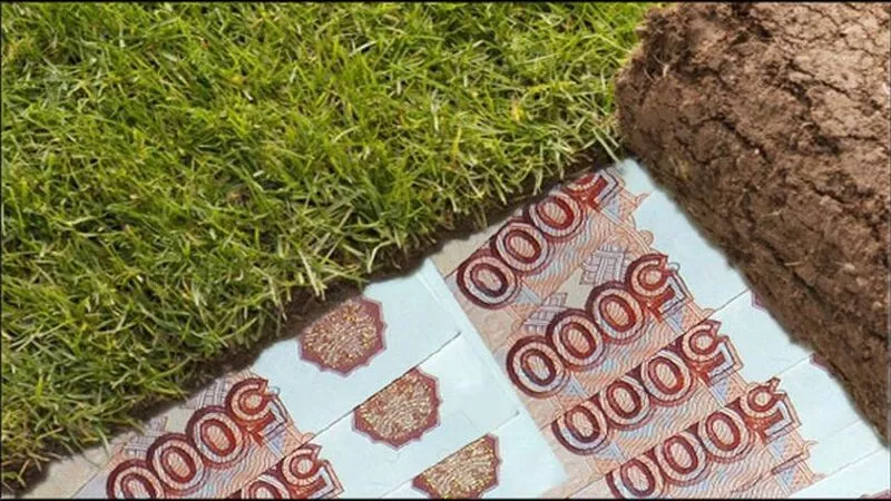 Анивским садоводам и огородникам муниципалитет предлагает хорошие деньги