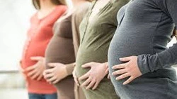 Новая образовательная программа для беременных запущена в областном центре