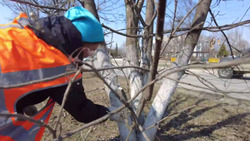 В Анивском районе 11 апреля провели субботник