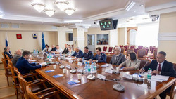 Уполномоченные по правам человека в ДФО рассмотрели сахалинские практики помощи бойцам и их семьям