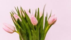Поздравления с 8 Марта — красивые пожелания в стихах и прозе 