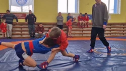 В райцентре прошли сразу два турнира по самбо