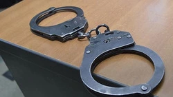 Задержанная за наркотики жительница Анивы сдала сообщников