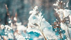 Народные приметы на 19 января 2024 года — что нельзя делать