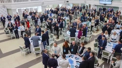 Сахалинские депутаты поддержали объявление 2026 года Годом счастливого материнства