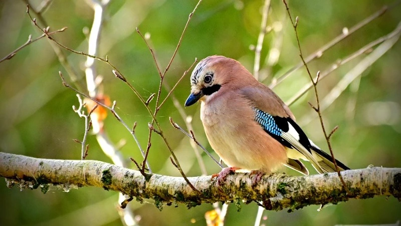 Народные приметы на 11 декабря 2023 года — что нельзя делать в этот день