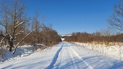 Синоптики дали прогноз погоды в Сахалинской области на старый Новый год 