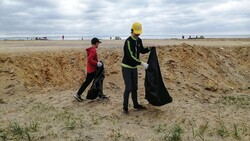 Анивские волонтёры провели акцию «Чистый пляж»