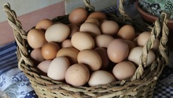 Cколько яиц можно есть каждый день без вреда для здоровья: ответ врача   