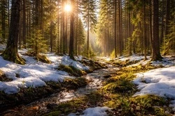 Народные приметы на 20 марта 2026: что нельзя делать в День весеннего равноденствия