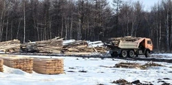 Анива помогла нашим военным с дровами для полигона