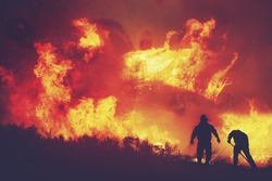 Сахалин потратил 500 млн рублей на подготовку к пожароопасному сезону