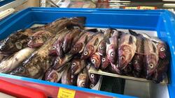 Свежевыловленную рыбу продавали в «Островном»