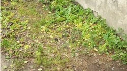 Кучу мусора убрали от подъезда