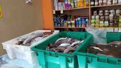 Завоз свежепойманой и доступной рыбы в Аниве возобновился