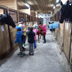 Огоньковские лошадники знакомят детей с конным спортом