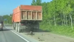 Сотрудники ГИБДД на Сахалине нашли самосвал, который загрязнил дорогу возле Троицкого