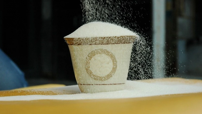 Народные приметы на 18 сентября 2024: поверья, что нельзя делать в день Захария и Елизаветы