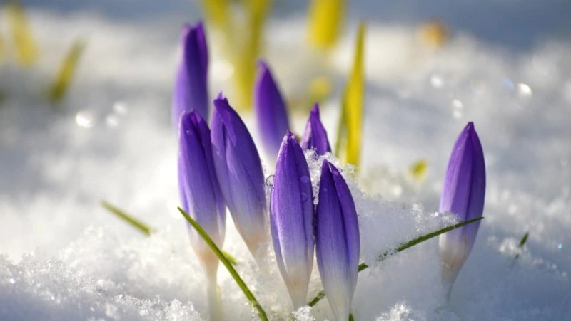 Народные приметы на 28 марта 2024 года — что нельзя делать 