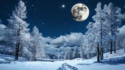 Снежная Луна: что готовит полнолуние 12 февраля 2025 всем знакам зодиака  
