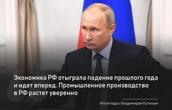 Депутаты Собрания прокомментировали прямую линию Президента России