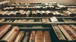 Тест на общие знания: вы много лет провели за книгами, если ответите на 8/8 — ТЕСТ 