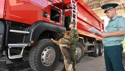 День таможенника 2024: когда отмечают, история и традиции праздника   