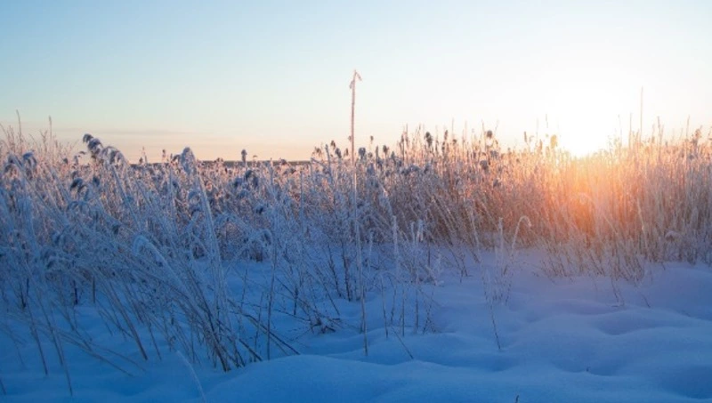 Народные приметы на 20 декабря 2023 года — что нельзя делать в этот день