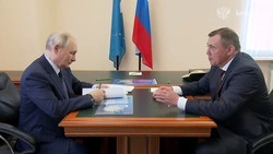 Федеральные эксперты высказались о значении визита Президента на Курилы