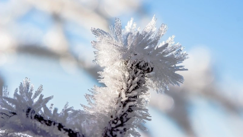 Народные приметы на 17 декабря 2023 года — что нельзя делать в этот день