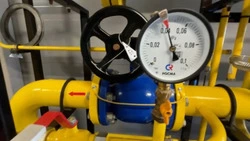 Энергетическая безопасность Сахалинской области: семь лет системной работы