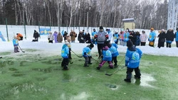 Анивская команда «Росинка» стала серебряным призёром областных соревнований по хоккею в валенках
