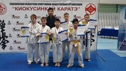 Анивские борцы снова молодцы