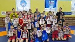 Вольная борьба принесла «урожай» медалей
