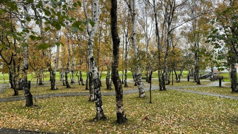 Погода в Сахалинской области 22 октября: слабый дождь и -3 градуса ночью 