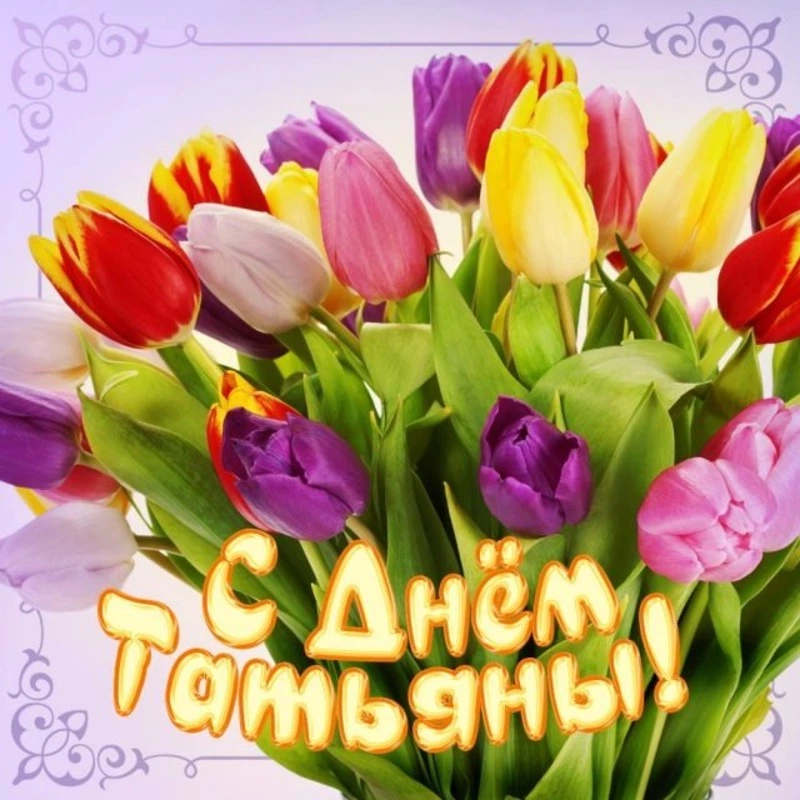 Красивые картинки и открытки с Татьяниным днем 