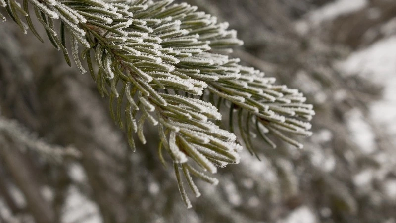 Народные приметы на 1 января 2024 года — что нельзя делать в этот день