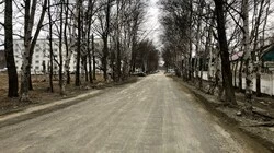 У улицы Гвардейской в Троицком появился шанс на реконструкцию