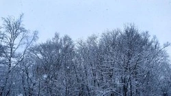 Снег и морозы до -20 градусов идут в Сахалинскую область      