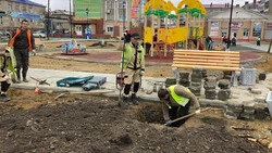 Посадка деревьев в двух скверах