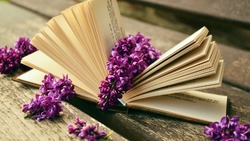 Тест по литературе: вы настоящий книгочей, если осилите эти 9 простых вопросов 