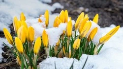 Майские праздники — 2025: сколько отдыхаем, можно ли в отпуск 