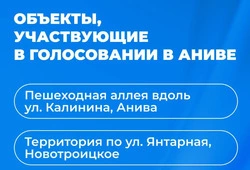 Продолжается голосование за общественные пространства