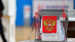 Готовность региона к проведению открытых и честных выборов оценили эксперты